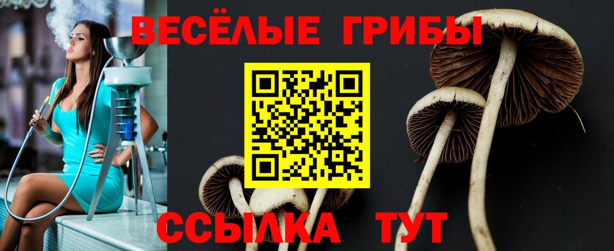 Галлюциногенные грибы мицелий  Галлюциногенные грибы прущие грибы  Семилуки  Вход с VPN 